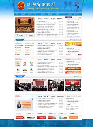 遼寧省財政廳網(wǎng)站設(shè)計效果圖