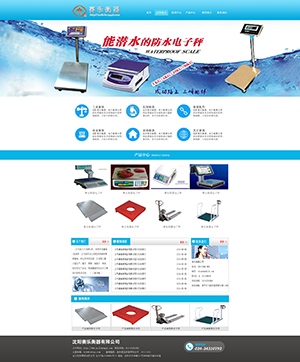 沈陽賽樂衡器網(wǎng)站設(shè)計效果圖